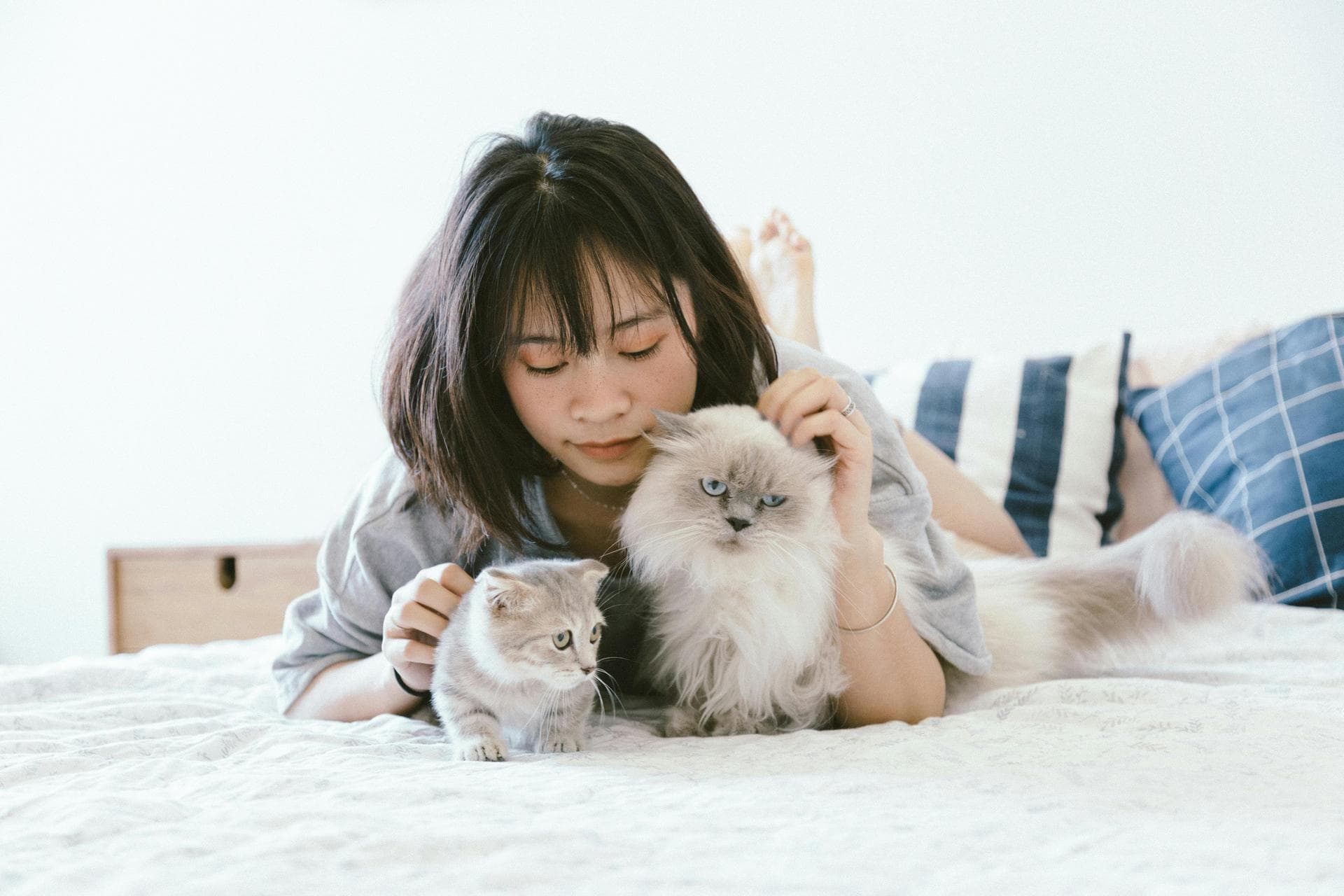 Annual Vaccination Booster Prices in Bromley